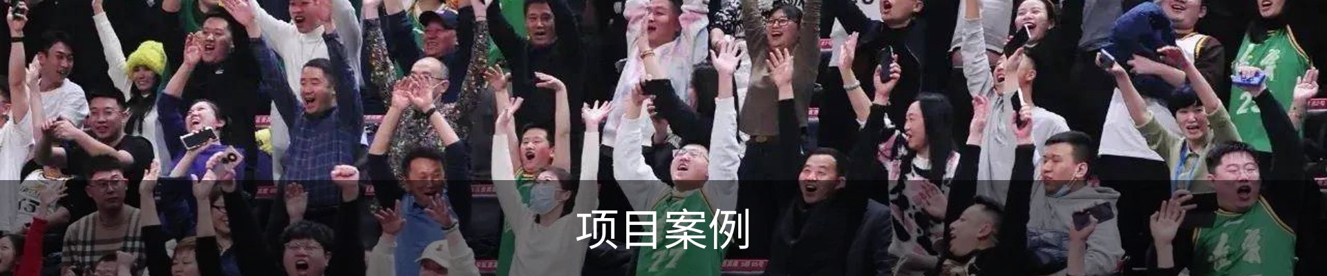 项目案例